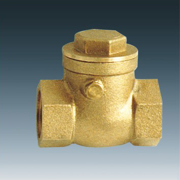 Check Valve